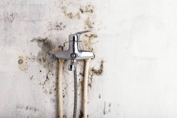 Best Mold Testing  in Harrisburg, IL