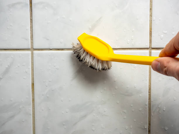 Best Black Mold Removal  in Harrisburg, IL