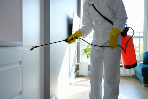 Best Mold Inspection  in Harrisburg, IL