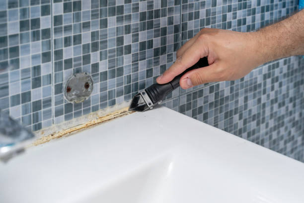 Best Office Mold Removal Services  in Harrisburg, IL