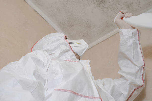 Best Toxic Mold Removal  in Harrisburg, IL